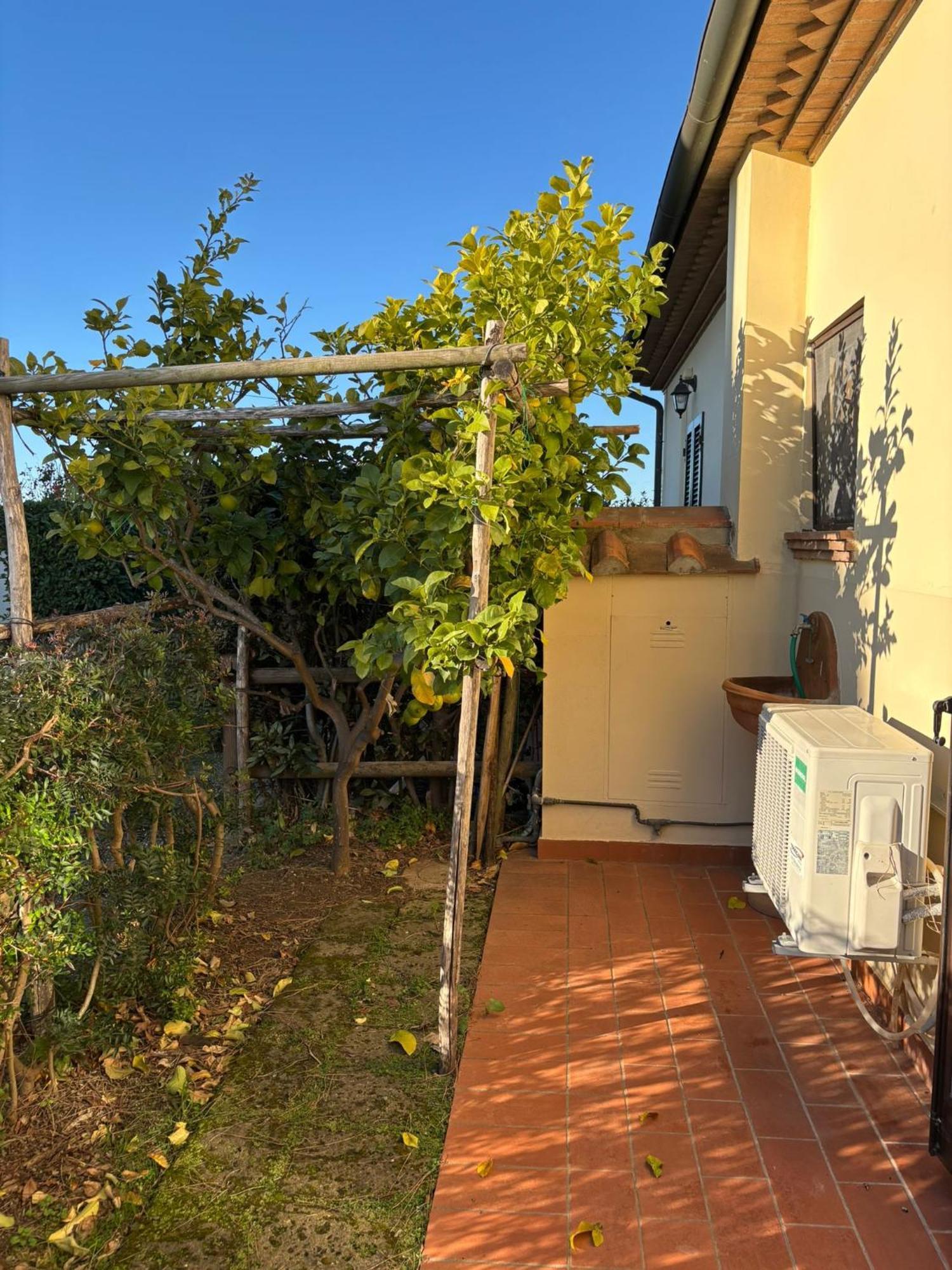 Casa "Ale" Con Piscina Comune E Bellissimo Giardino A 5 Minuti Dal Mare Чечина Екстер'єр фото